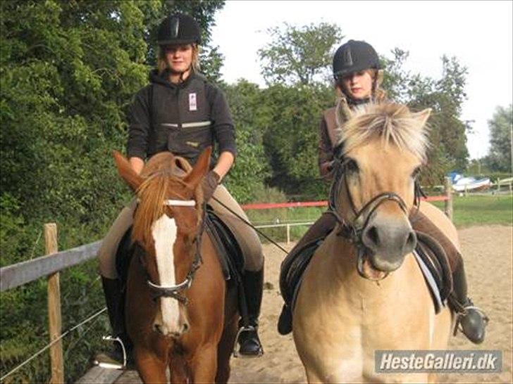 Traver Niva Wardan  billede 5