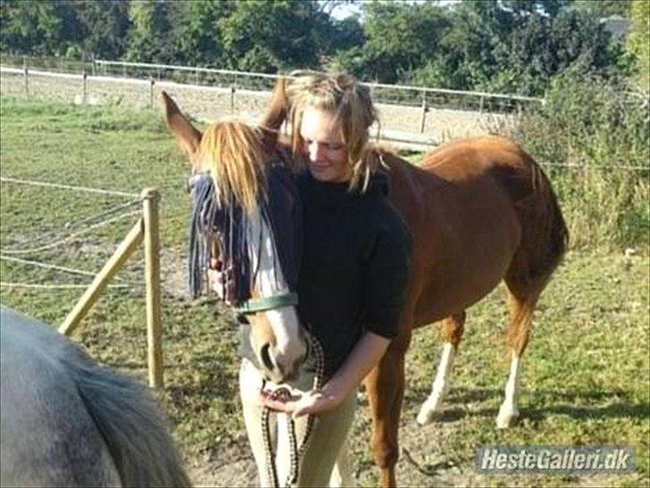 Traver Niva Wardan  billede 10