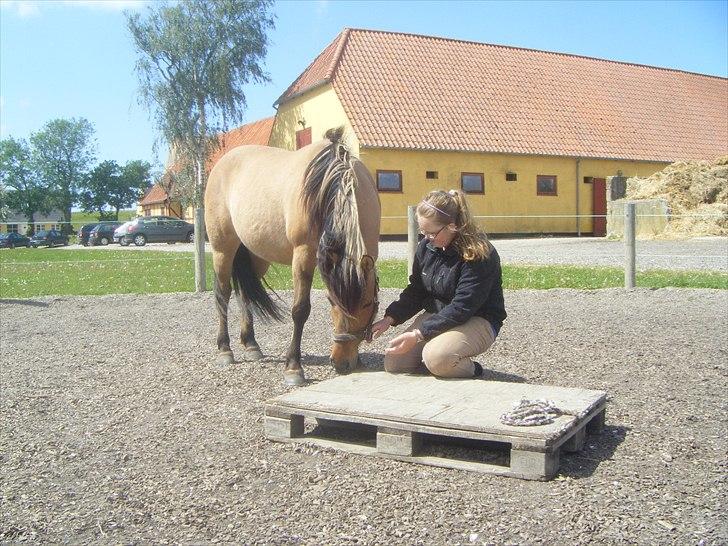 Anden særlig race Bianca - Du er underlig, og jeg holder af dig! billede 6