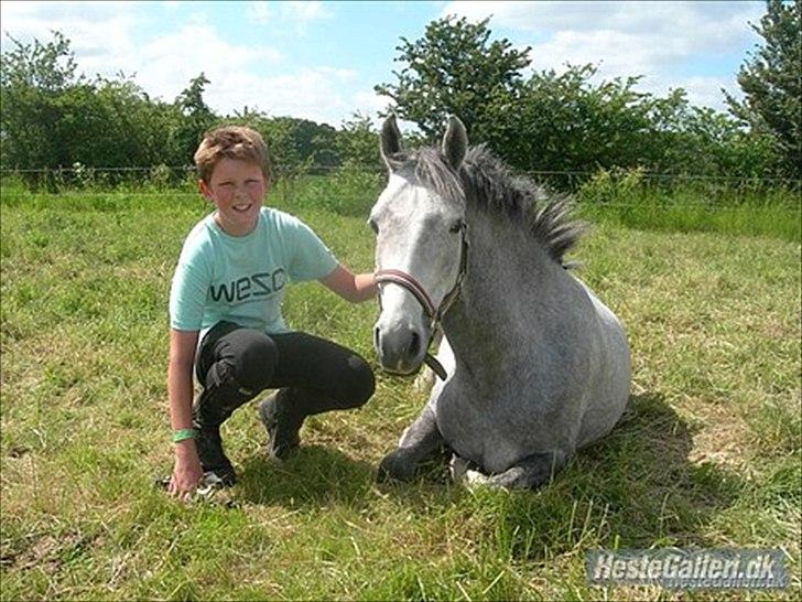 Anden særlig race Carreas - Carreas ligger ned !!xD Foto: Freja  billede 7