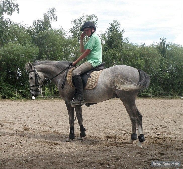 Anden særlig race Carreas - Carreas står i holdning men jeg klør mig !!xD JEM foto billede 18
