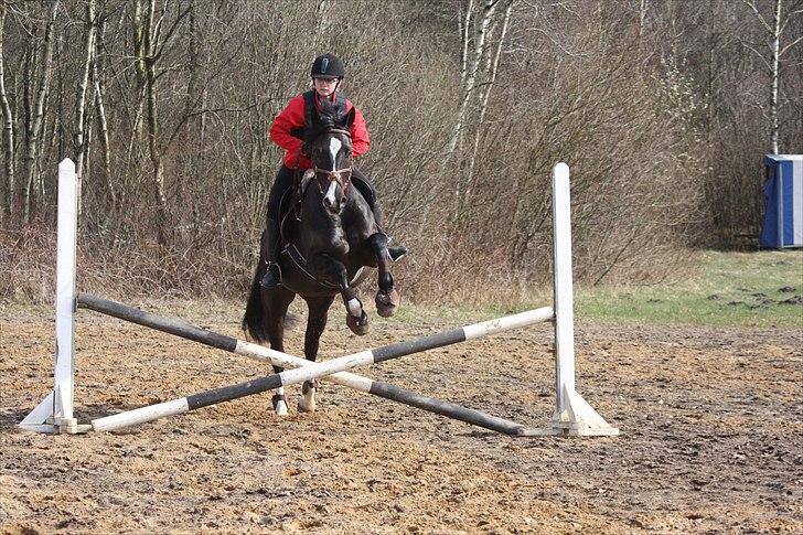 Anden særlig race Black Star - Black og jeg som springer et opvarmnings spring. Foto: Emma billede 16