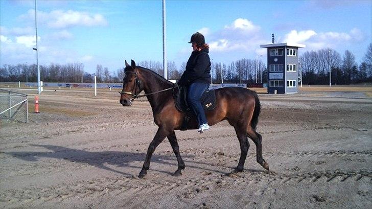 Traver Iceman Face billede 1