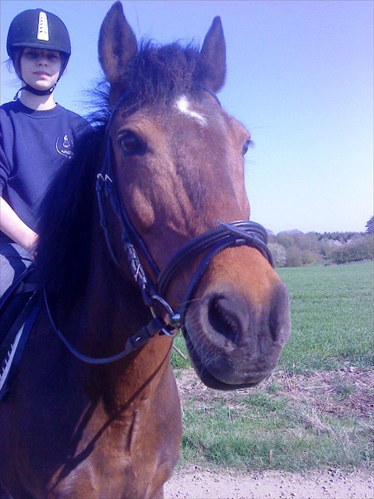 Anden særlig race Walter - 3) emilie rider lige på walter : D billede 1