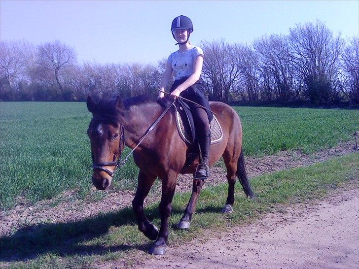 Anden særlig race Walter - 17) på tur :) billede 10