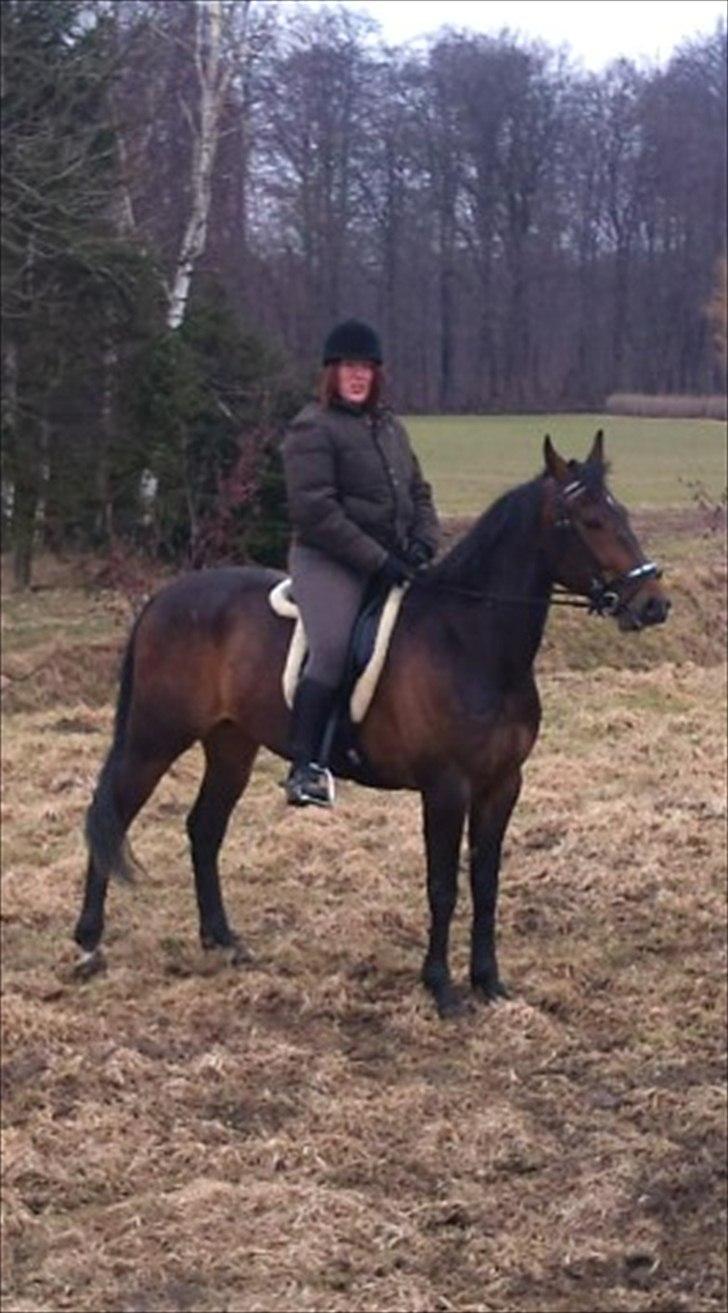 Traver Iceman Face billede 4