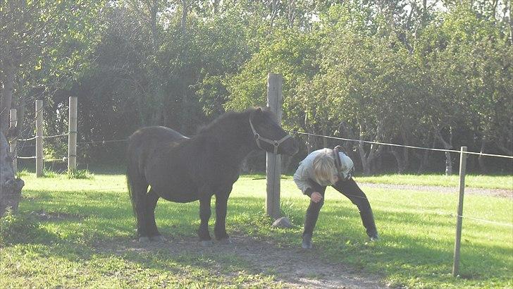 Anden særlig race Sorte billede 5