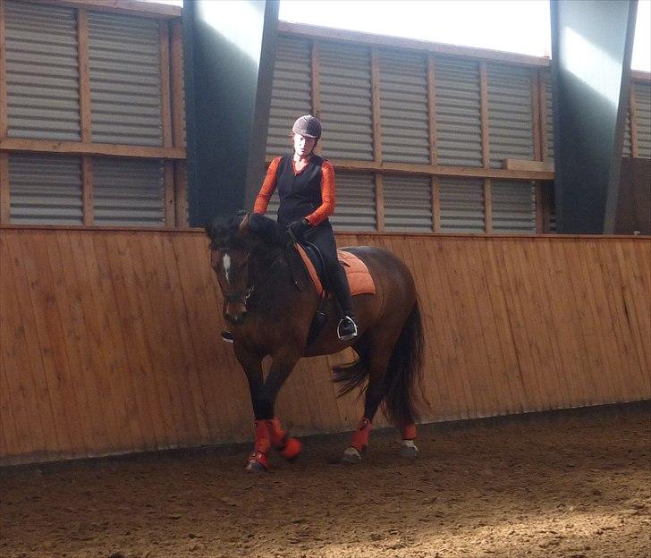 Frederiksborg Burgdorff Celine - Dressurundervisning billede 7