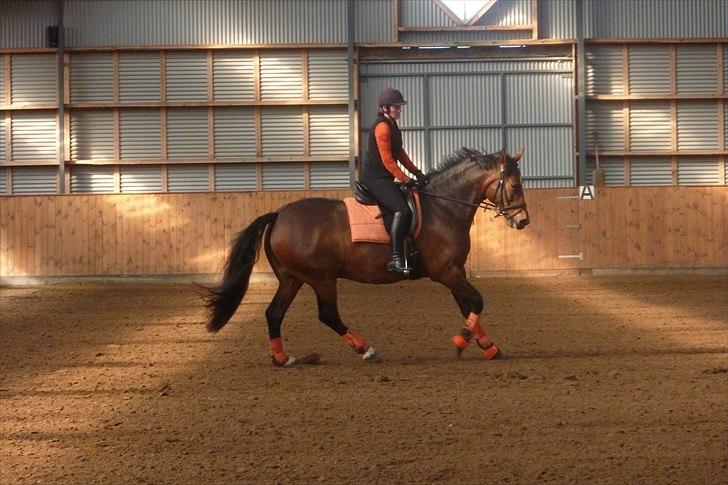 Frederiksborg Burgdorff Celine billede 8