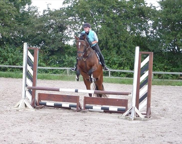 Frederiksborg Burgdorff Celine - Springe kan hun også billede 10