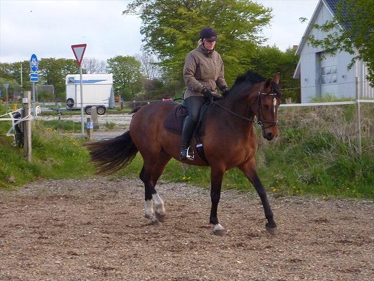 Frederiksborg Burgdorff Celine billede 11