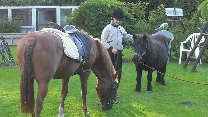 Anden særlig race Sorte billede 7