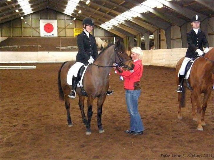 Connemara Camellia B-pony - 1. plads i LB2, med næsten 66%, og hun havde enda et par flip.. Red også LA1, med 63,3%, og der flippede hun meget, så er meget stolt af de 63 %, så må vi jo have gjort noget rigtigt. :D billede 6