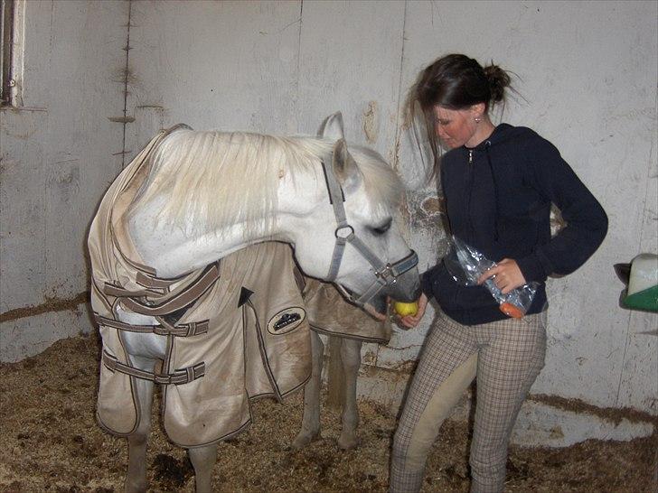 Anden særlig race Blanca - Sidste gang jeg så Blanca. Savner dig sindsygt <3 - 17. juni 2008 (© - Må ikke kopieres) billede 19