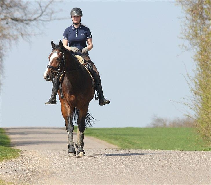 Anden særlig race Conan - <3<3 billede 15