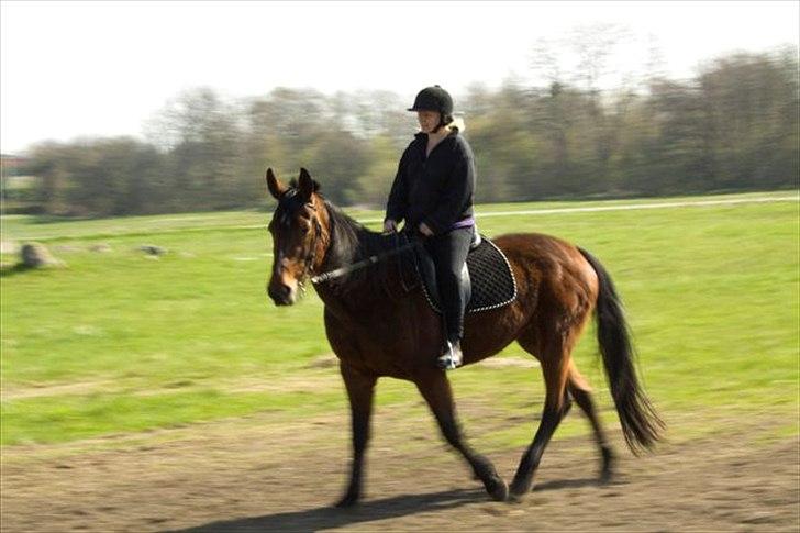 Traver Jet Mac Laid *RIP* 23-1-2012 billede 7