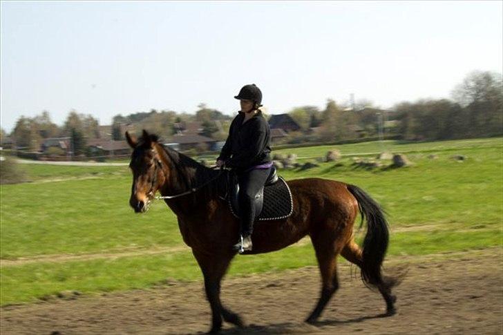 Traver Jet Mac Laid *RIP* 23-1-2012 billede 8