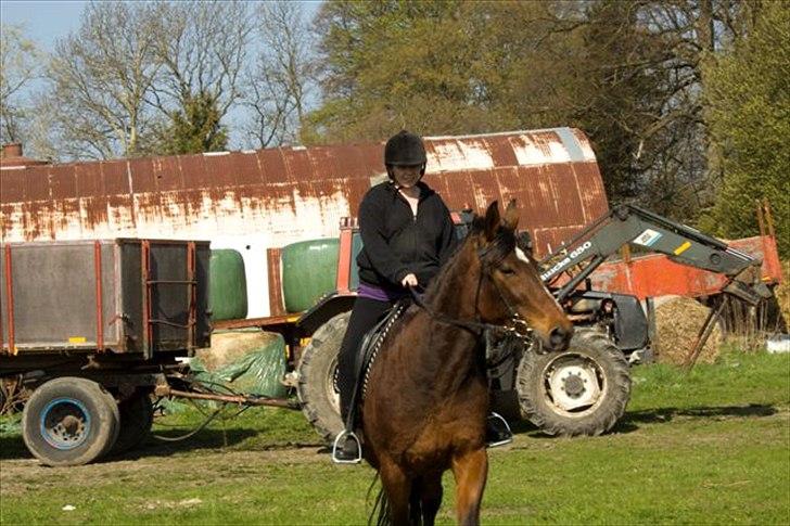 Traver Jet Mac Laid *RIP* 23-1-2012 billede 10