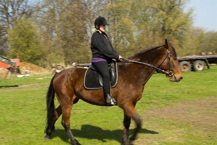 Traver Jet Mac Laid *RIP* 23-1-2012 billede 12