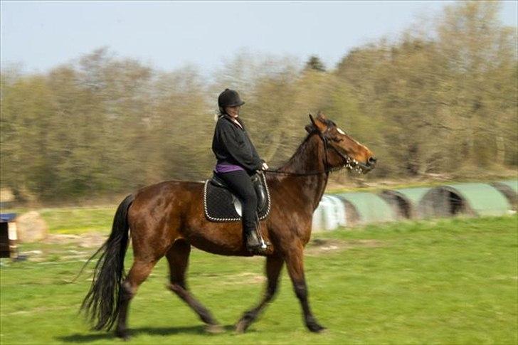 Traver Jet Mac Laid *RIP* 23-1-2012 billede 13