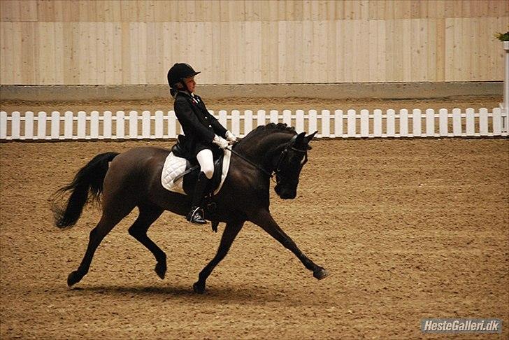 Anden særlig race Magic Manipu <3 - Landsstævne i Århus kat. 2 billede 8