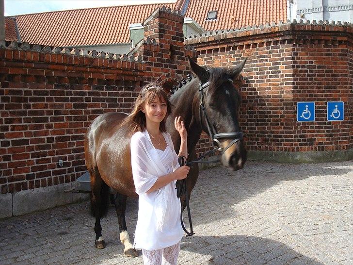 Dansk Varmblod Lopez - Mig & Lopez til min konfirmation :)<3<3 Den bedste overraskelse:)<3 billede 7