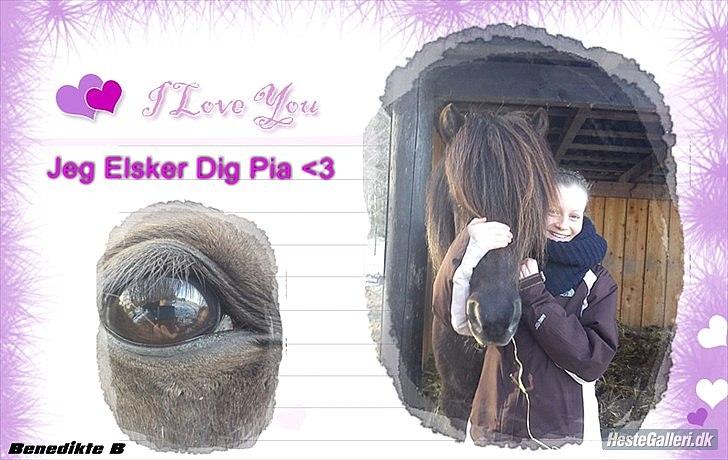 Islænder Pia fra fristup billede 8