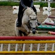 Anden særlig race Emil *part*