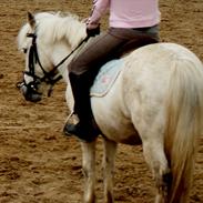 Anden særlig race Emil *part*