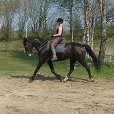 Anden særlig race Tia R:I:P