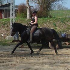 Anden særlig race Tia R:I:P