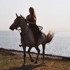 Anden særlig race Frida