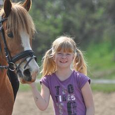 New Forest EgHolms Malou <3<3