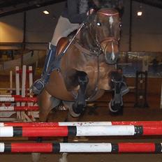 Anden særlig race Jussie