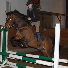 Anden særlig race Jussie