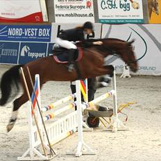 Holstener Cassino Star - SKADET/SOLGT