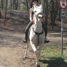 Sportsaraber (A) zhehena (har passet) :D