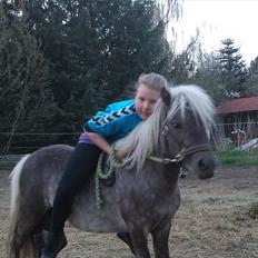 Shetlænder Silver<3 solgt altid elsket og savnet!