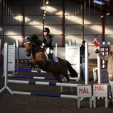 Anden særlig race Felix