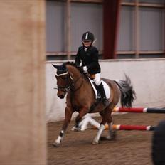 Anden særlig race Felix