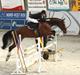 Holstener Cassino Star - SKADET/SOLGT