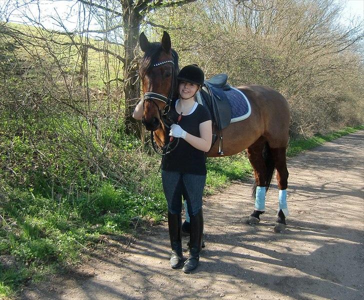 Holstener A Little Lady  - Dejlige hest. billede 10