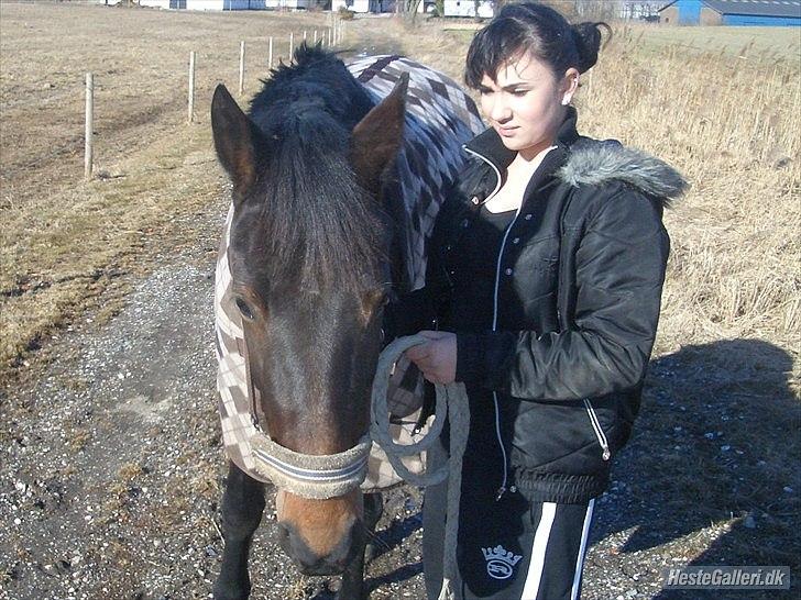 Traver migaya (solgt) billede 4