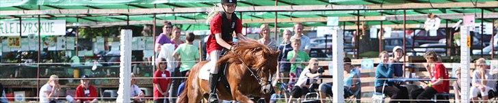 Anden særlig race Ron - Lånt fra Bregentveds hjemmeside billede 3