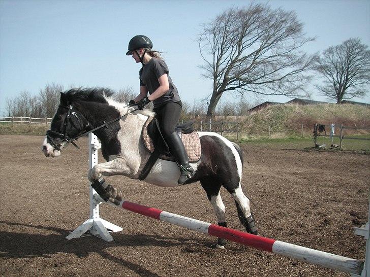 Anden særlig race Musse<33 solgt:'( *du vil altid være i mit hjerte* billede 15