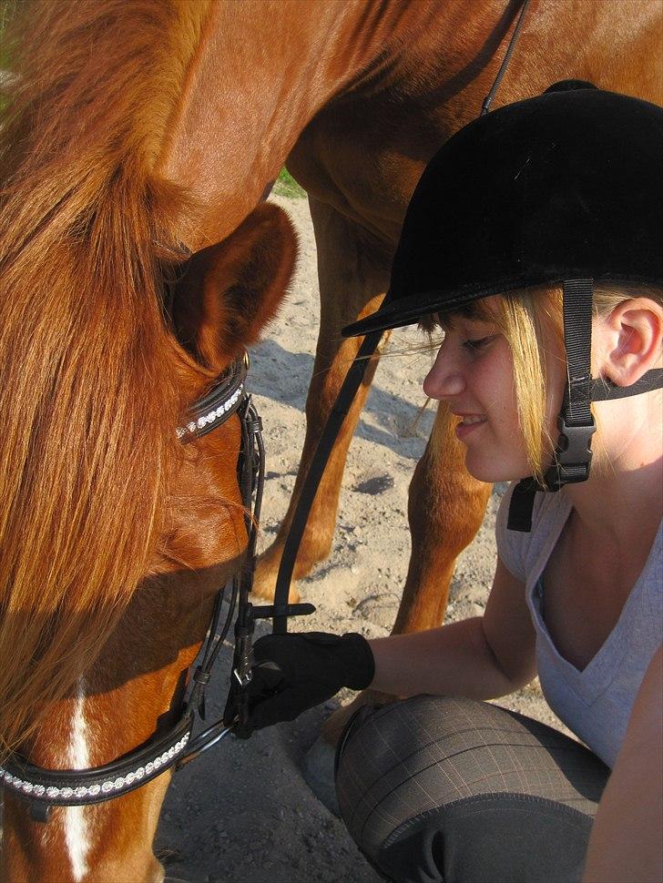 Anden særlig race Monique *Tyksakken*<3 - Mig og Monique d. 21 April 2011<3 Foto: miig billede 14