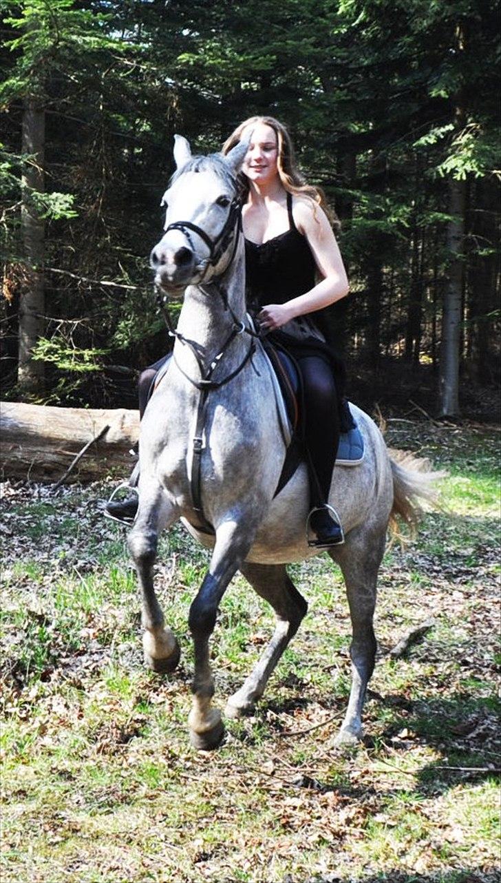 Anden særlig race Frida - Frida synes ikke rigtig, at hun skal stå stille ;) billede 1