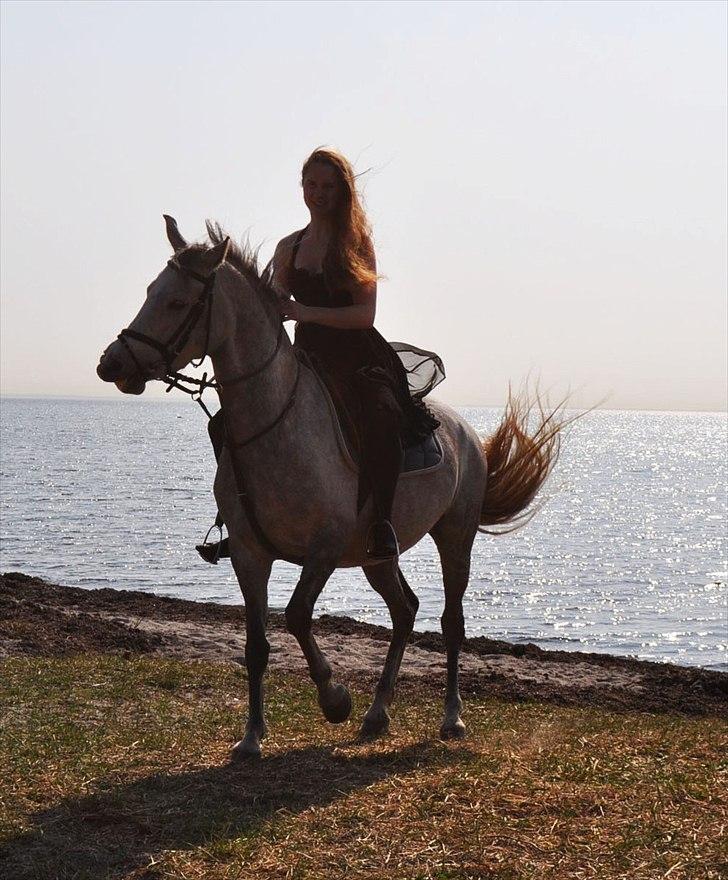 Anden særlig race Frida - Igen igen, jeg vil ikke stå stille jeg vil fremad :D billede 2