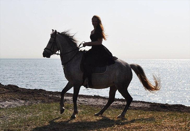 Anden særlig race Frida - Tja, billedet snakker vel for sig selv ;) billede 3