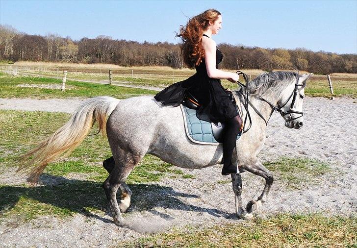 Anden særlig race Frida - Ihh, hun er nu bare skøn :D billede 5